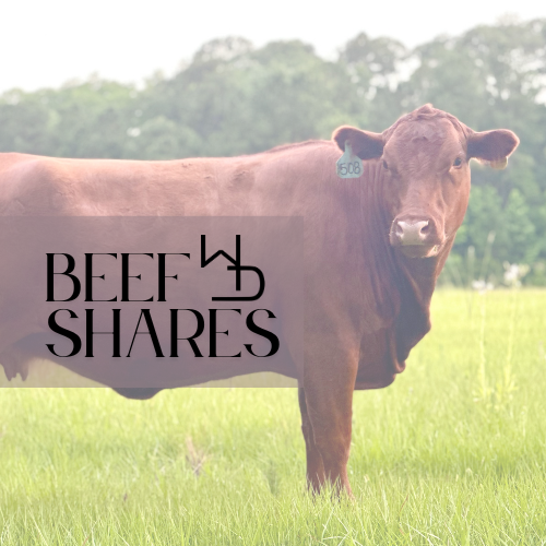 Beef Shares