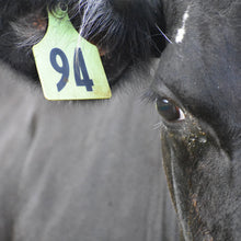 Premium Beef Gift Card