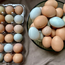 Chicken Eggs