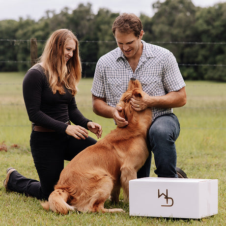 Two people with a dog on a grassy field, with a laptop displaying a logo.