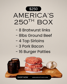 America’s 250th Box