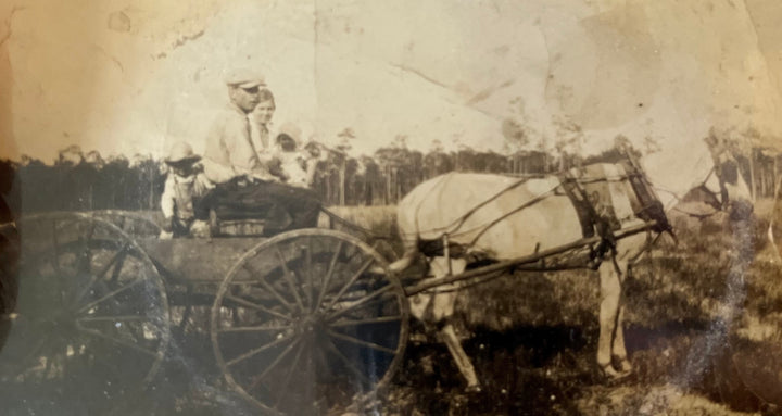 Vintage photo with scratches on it showing a black and white photo of a white horse pulling a wooden buggy that holds a young couple, the woman holding a baby and a young toddle boy sitting in the back. 