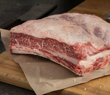 Dino Rib