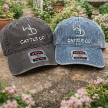Two Cattle Co. denim hats on a stone surface with a garden background